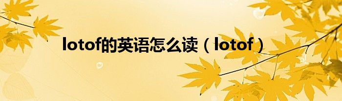 lotof的英语怎么读(lotof)