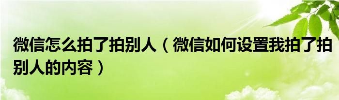 微信怎么拍了拍别人(微信如何设置我拍了拍别人的内容)