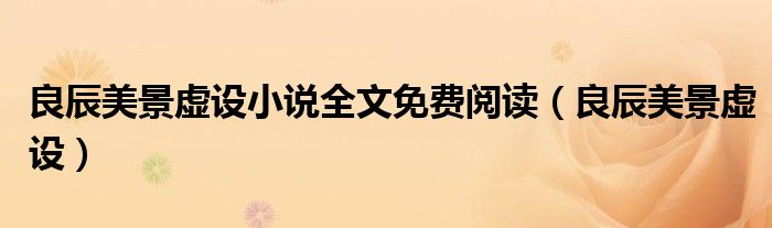 良辰美景虚设小说全文免费阅读(良辰美景虚设)