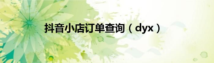 抖音小店订单查询(dyx)