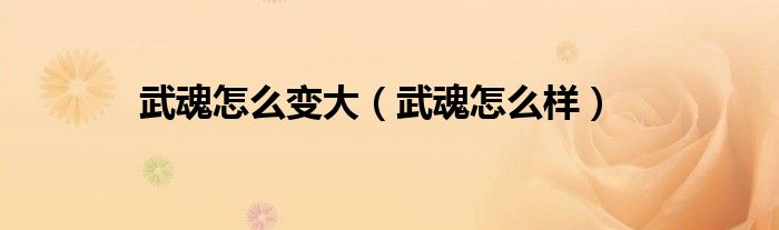 武魂怎么变大(武魂怎么样)
