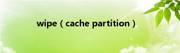 wipe(cache partition)