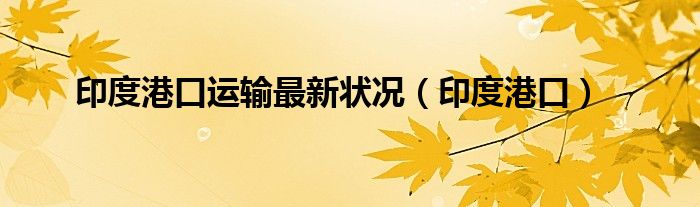 印度港口运输最新状况(印度港口)