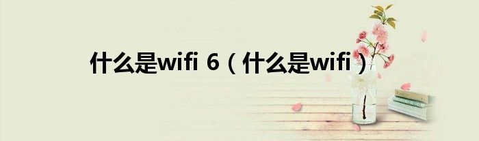 什么是wifi 6(什么是wifi)
