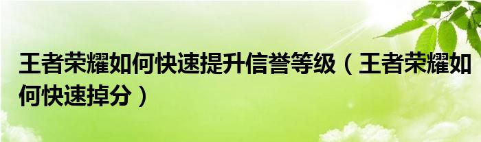 王者荣耀如何快速提升信誉等级(王者荣耀如何快速掉分)