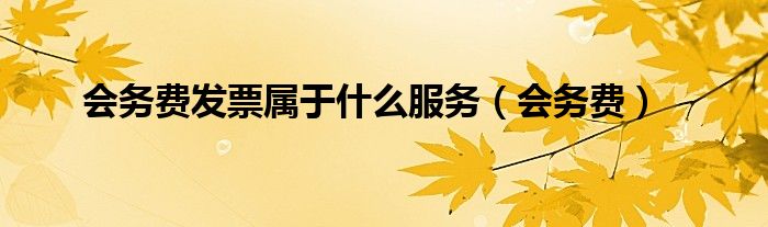 会务费发票属于什么服务(会务费)