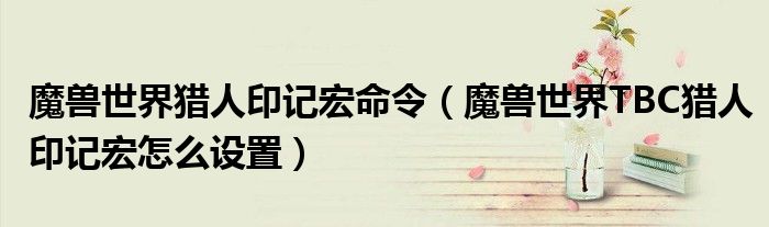 魔兽世界猎人印记宏命令(魔兽世界TBC猎人印记宏怎么设置)