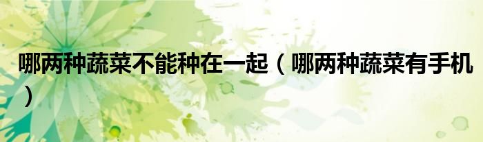 哪两种蔬菜不能种在一起(哪两种蔬菜有手机)