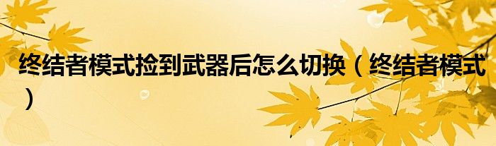 终结者模式捡到武器后怎么切换(终结者模式)