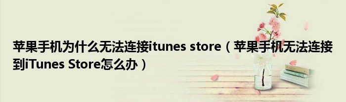 苹果手机为什么无法连接itunes store(苹果手机无法连接到iTunes Store怎么办)