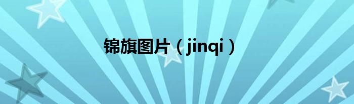 锦旗图片(jinqi)