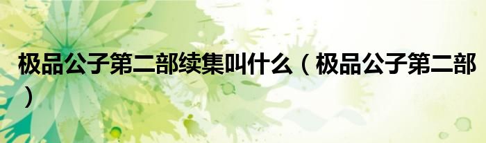 极品公子第二部续集叫什么(极品公子第二部)