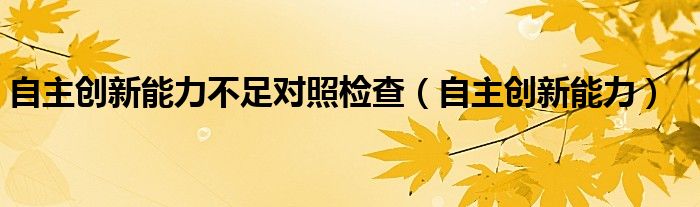 自主创新能力不足对照检查(自主创新能力)