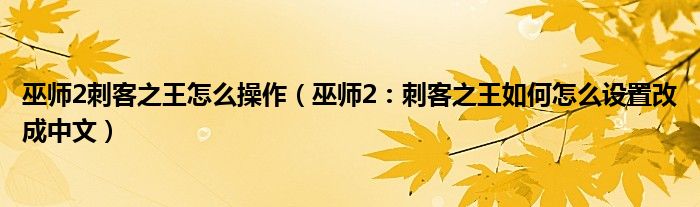 巫师2刺客之王怎么操作(巫师2:刺客之王如何怎么设置改成中文)