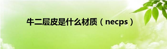 牛二层皮是什么材质(necps)