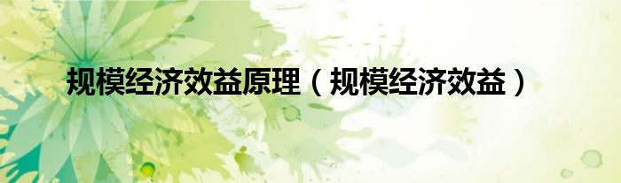 规模经济效益原理(规模经济效益)