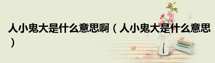 人小鬼大是什么意思啊(人小鬼大是什么意思)