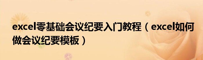 excel零基础会议纪要入门教程(excel如何做会议纪要模板)