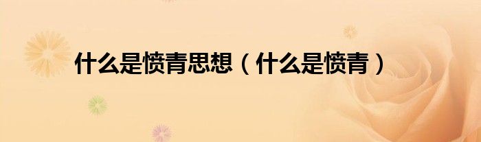 什么是愤青思想(什么是愤青)