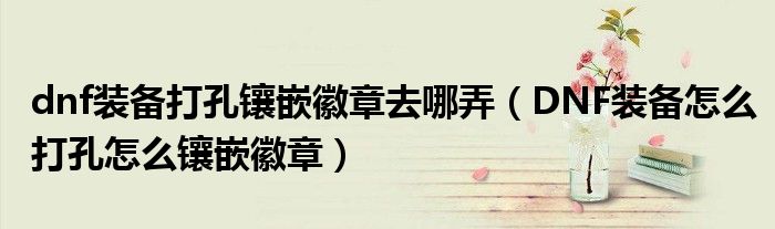 dnf装备打孔镶嵌徽章去哪弄(DNF装备怎么打孔怎么镶嵌徽章)