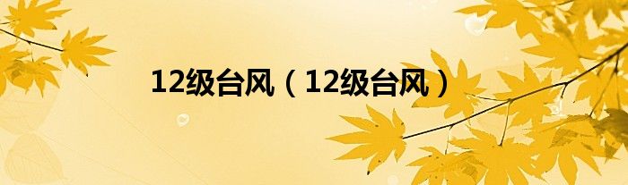 12级台风(12级台风)