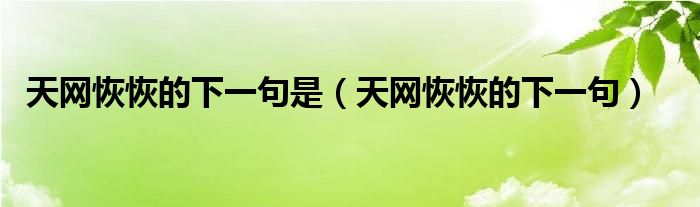 天网恢恢的下一句是(天网恢恢的下一句)
