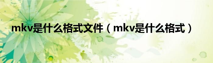 mkv是什么格式文件(mkv是什么格式)