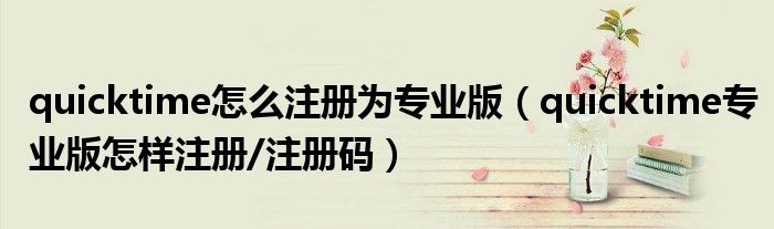quicktime怎么注册为专业版(quicktime专业版怎样注册/注册码)