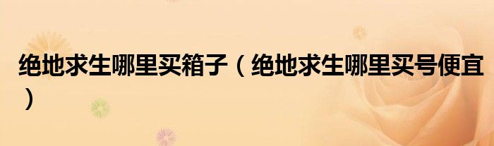 绝地求生哪里买箱子(绝地求生哪里买号便宜)