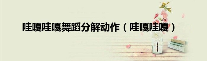 哇嘎哇嘎舞蹈分解动作(哇嘎哇嘎)