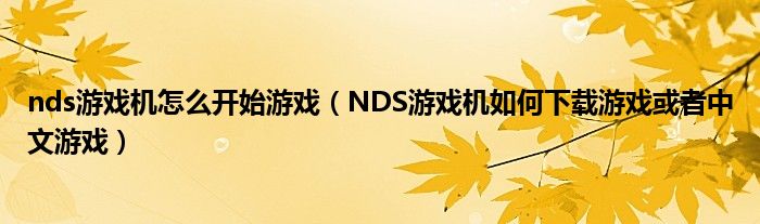 nds游戏机怎么开始游戏(NDS游戏机如何下载游戏或者中文游戏)
