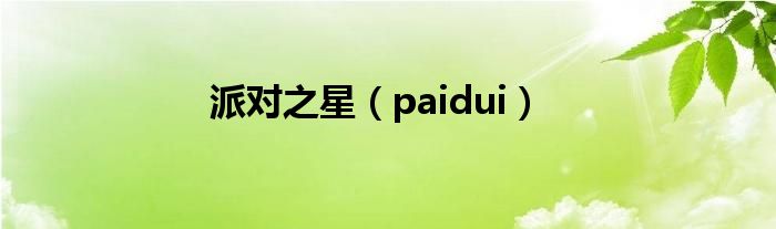 派对之星(paidui)