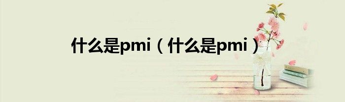 什么是pmi(什么是pmi)