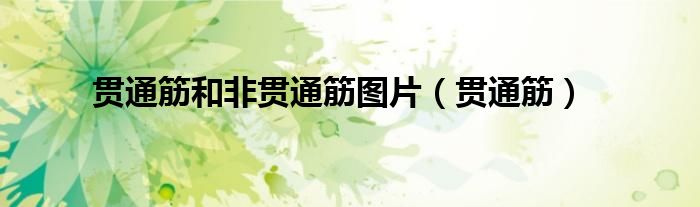 贯通筋和非贯通筋图片(贯通筋)