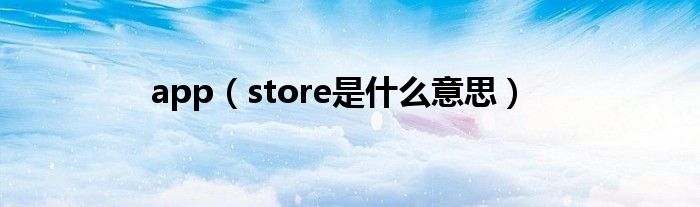 app(store是什么意思)