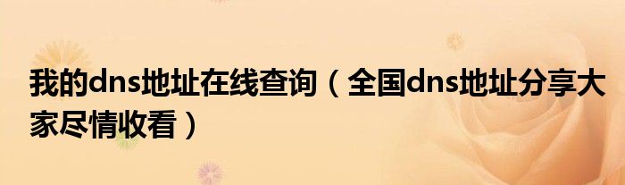 我的dns地址在线查询(全国dns地址分享大家尽情收看)