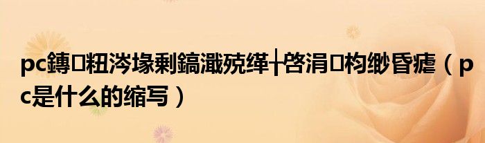 pc鏄粈涔堟剰鎬濈殑缂╁啓涓枃缈昏瘧(pc是什么的缩写)