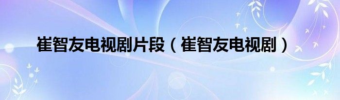 崔智友电视剧片段(崔智友电视剧)