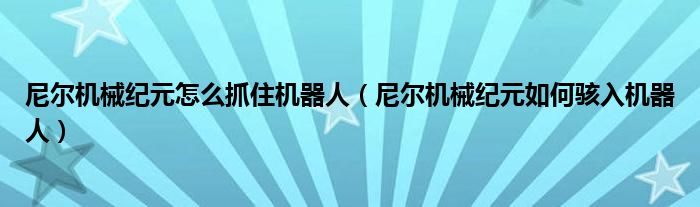 尼尔机械纪元怎么抓住机器人(尼尔机械纪元如何骇入机器人)