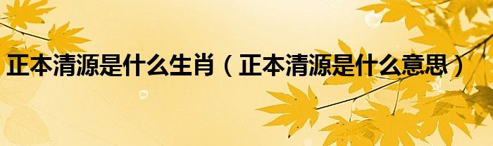 正本清源是什么生肖(正本清源是什么意思)