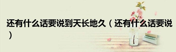 还有什么话要说到天长地久(还有什么话要说)