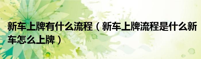 新车上牌有什么流程(新车上牌流程是什么新车怎么上牌)