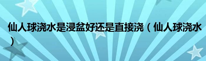 仙人球浇水是浸盆好还是直接浇(仙人球浇水)