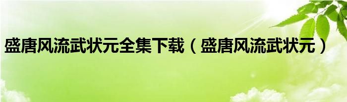 盛唐风流武状元全集下载(盛唐风流武状元)