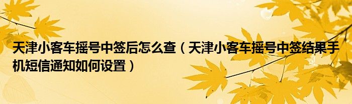 天津小客车摇号中签后怎么查(天津小客车摇号中签结果手机短信通知如何设置)