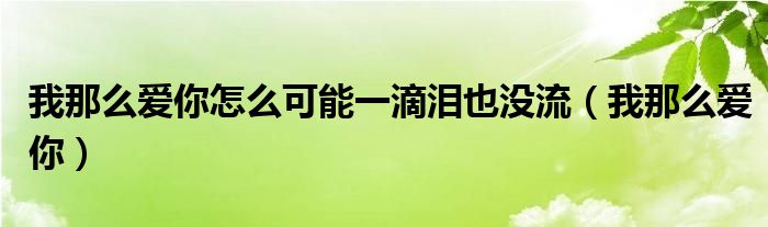 我那么爱你怎么可能一滴泪也没流(我那么爱你)
