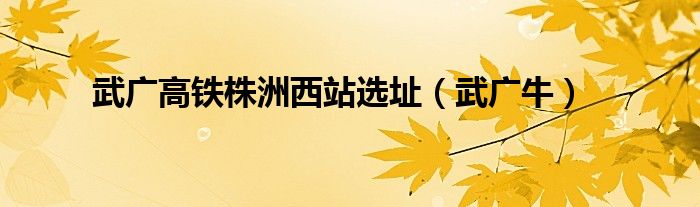武广高铁株洲西站选址(武广牛)