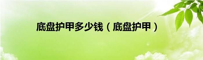 底盘护甲多少钱(底盘护甲)