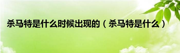 杀马特是什么时候出现的(杀马特是什么)