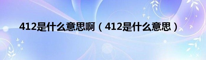 412是什么意思啊(412是什么意思)